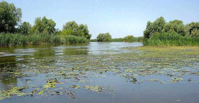 Mündung des Flusses Wolga