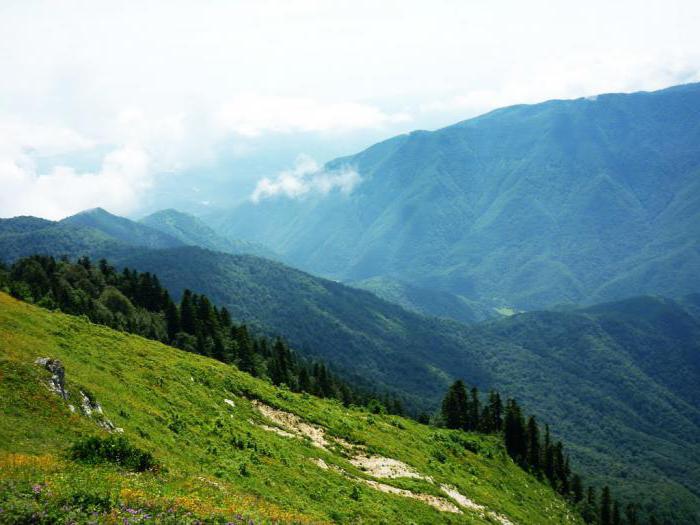 Berg мамзышха Abchasien