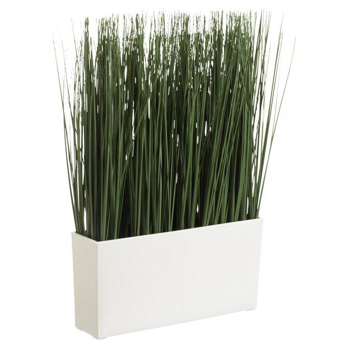 grass artificial potted