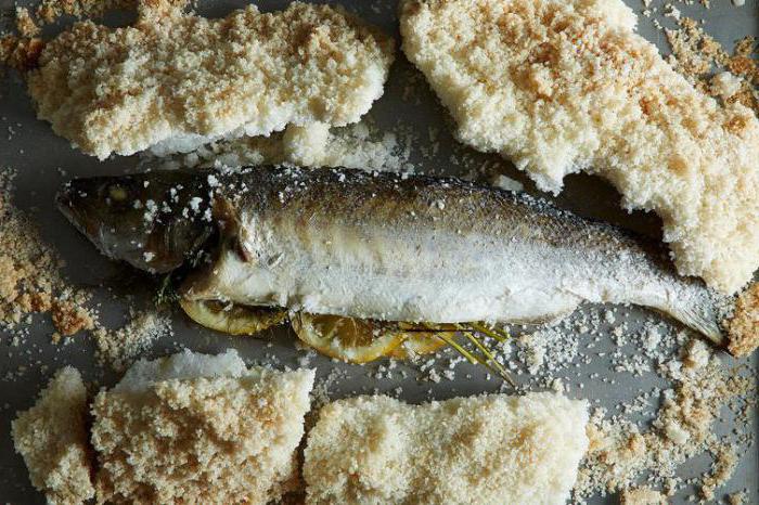 wie zu Kochen den Fisch in Salz in den Ofen