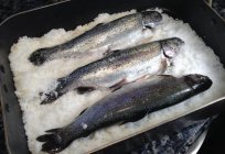 El pescado a la sal en el horno - receta