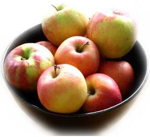 las propiedades útiles de las manzanas