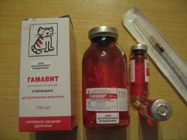 gamavit for cat