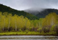 共青城性质的储存：植物群和动物群