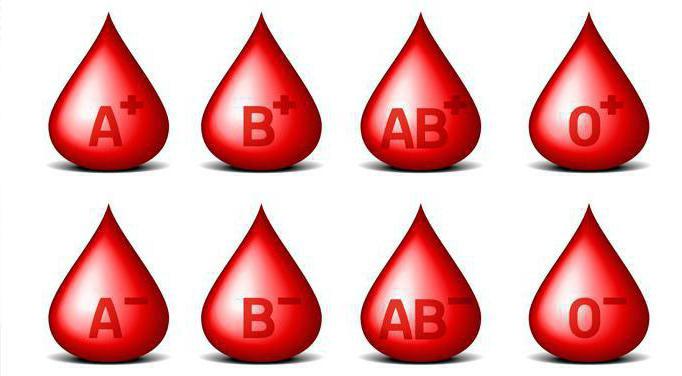 是什么血型是通用的