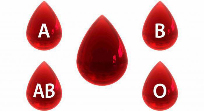 普遍的血型及RH因素