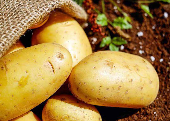 里维埃拉的土豆说明