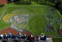 Keukenhof (parque) – tejido de la naturaleza de las flores de la alfombra