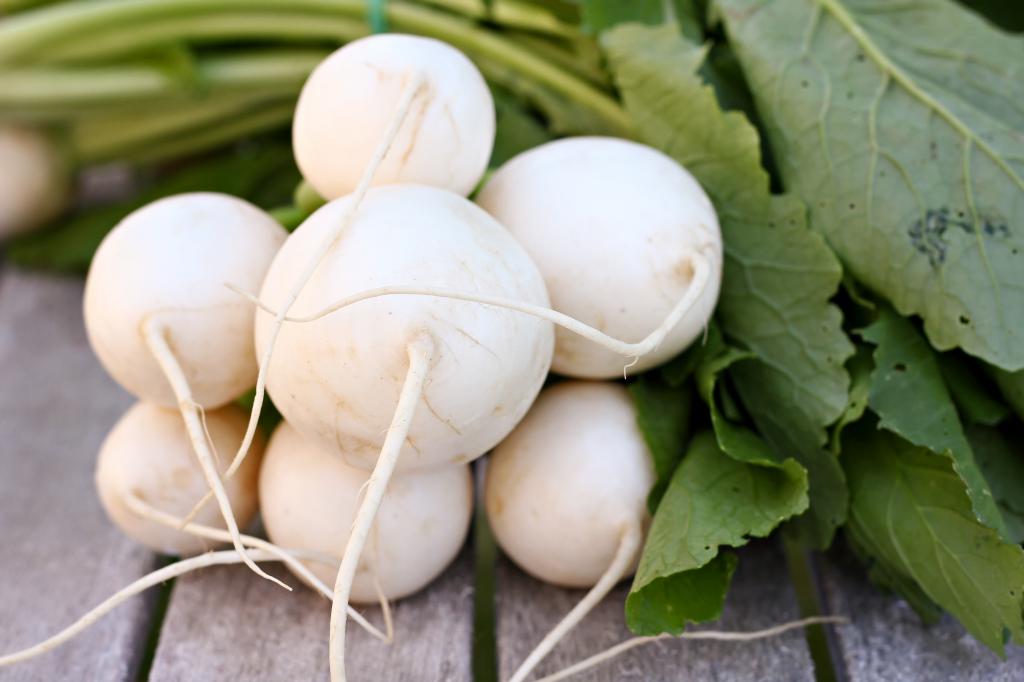 turnips as a product of increasing potency