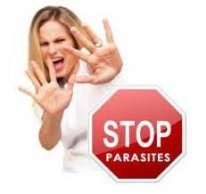 Arten von parasitären Würmern
