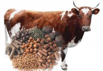 面粉草和干草。 饲料用于农场动物