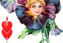 Volksglaube und Legende über Blumen Stiefmütterchen