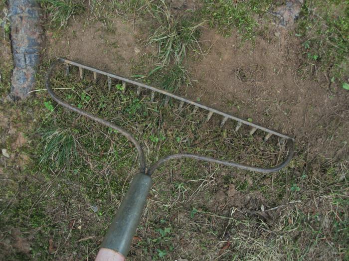 cómo deshacerse de musgo en la parte de jardín