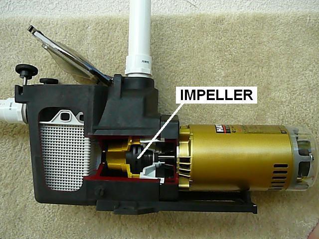impeller pump with your hands