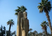 Shaduf在古埃及：定义、重要性