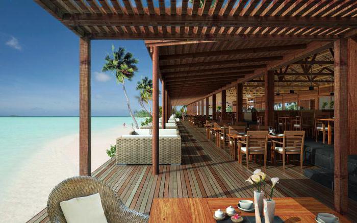 جزر المالديف في حافي القدمين eco hotel 4 