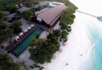 The Barefoot Eco Hotel 4* (Hanimaadhoo, Мальдіви): опис готелю, послуги, відгуки
