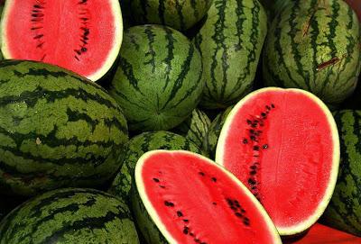 Wassermelone Anbau im mittleren Streifen