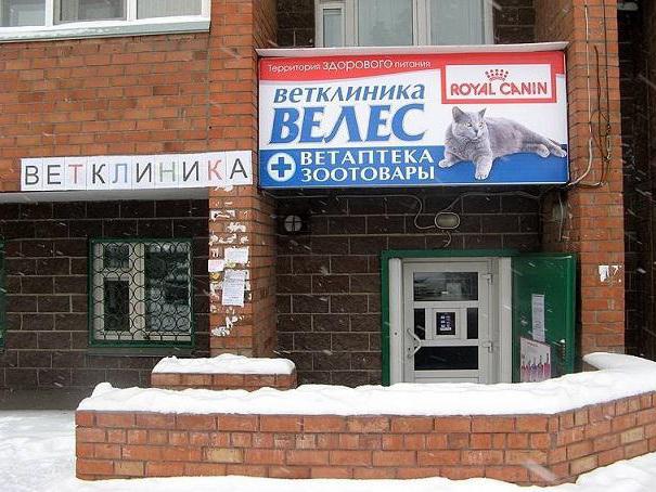 veterinary clinic Velez Obninsk