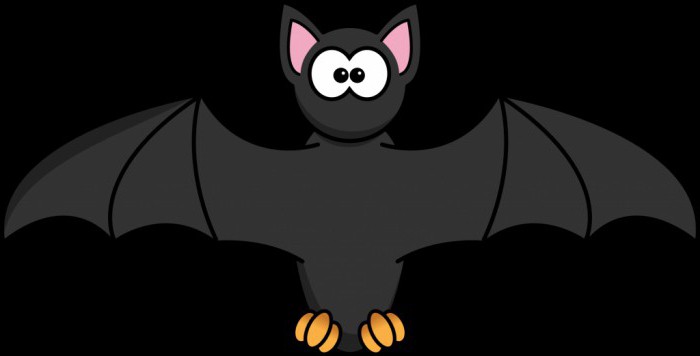 home conteúdo do morcego