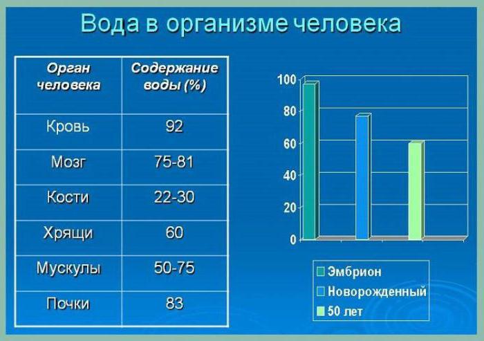 функцыя вугляводаў у клетцы