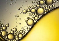 Química a organização celular: a matéria orgânica, macro e micronutrientes