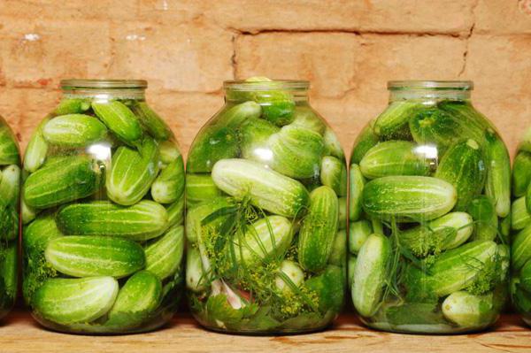 cucumber roll crunchy 3-liter jar