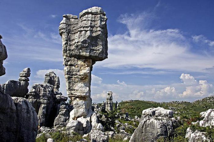 stone forest photo