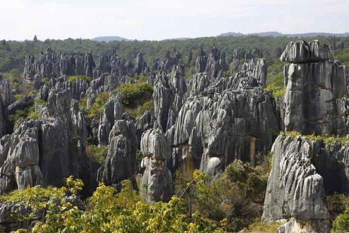 bosque de piedra en china