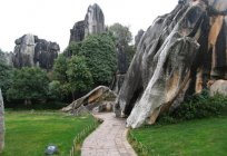 Stone forest China – amazing wonder of nature