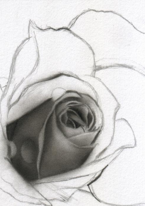 pencil drawings for beginners