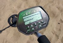 How to choose a metal detector: a review of the best models and manufacturers