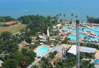 Pattaya Park الحديقة المائية شعبية في باتايا