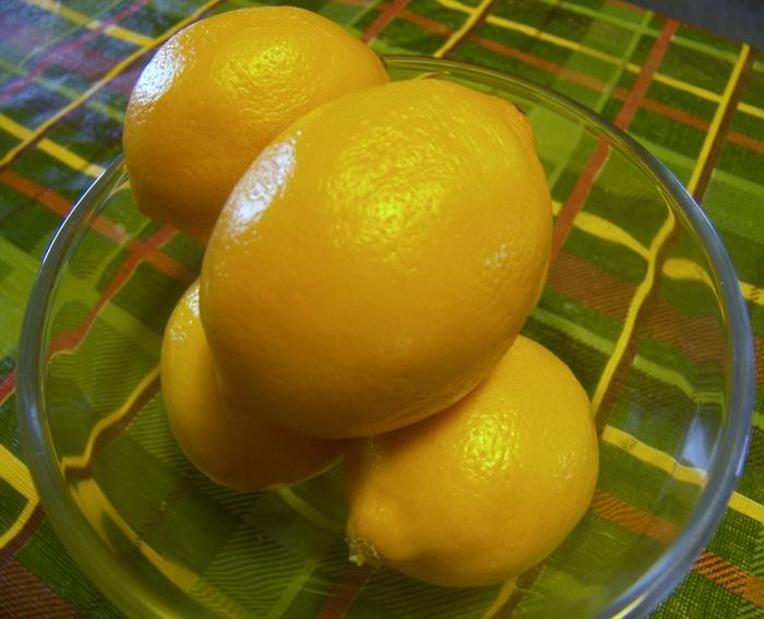 Zitrone Anbau