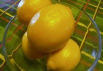 Zitrone zu Hause. Anbau