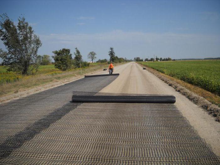 geogrid for road construction