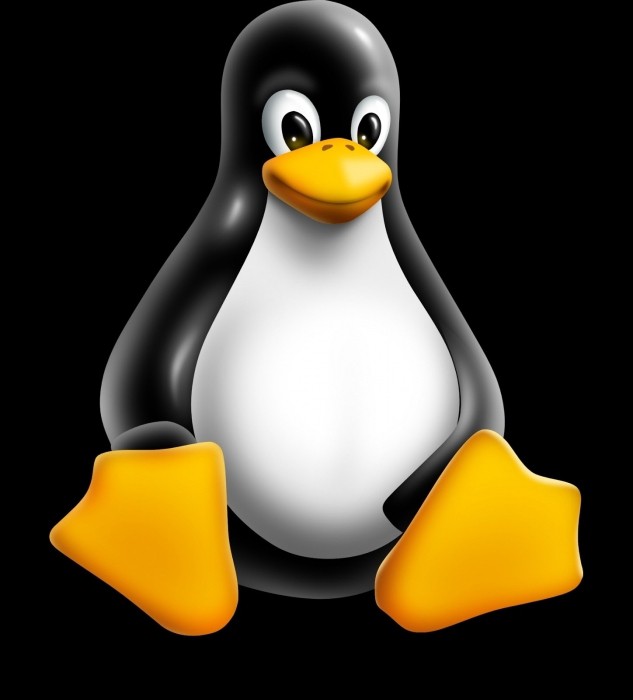 linux-Version ermitteln