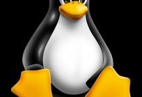Welche Version von Linux, die wichtigsten Befehle