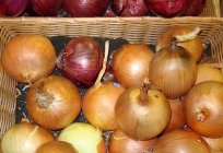 How to grow good onions