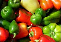 All about why the fall colors do peppers