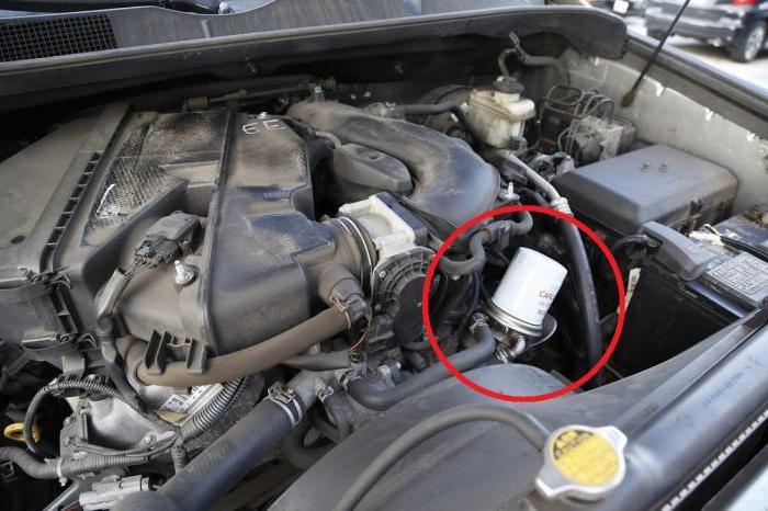 where is the oil filter