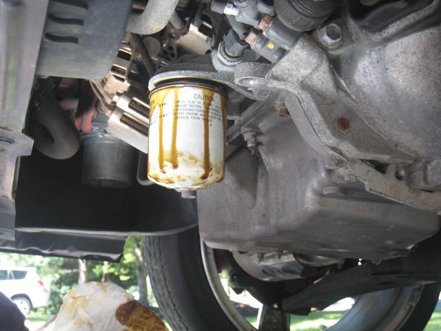 the size of the oil filter