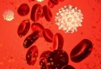 Як здати кров на гормони правильно?