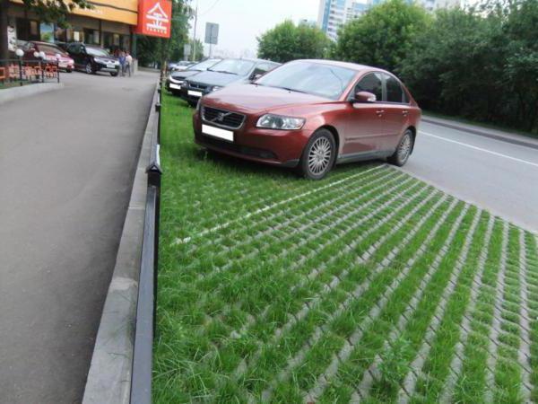 artykuł za parkowanie na trawniku