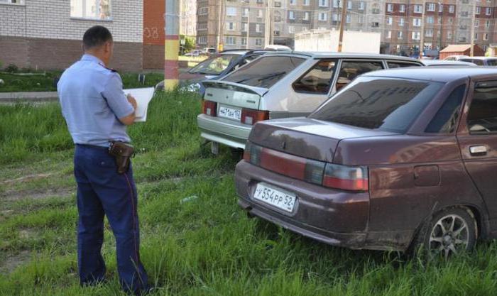 kary policji parkowanie na trawniku