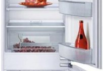 Kühlschrank Neff: Highlights, Beschreibung von Modellen nutzen