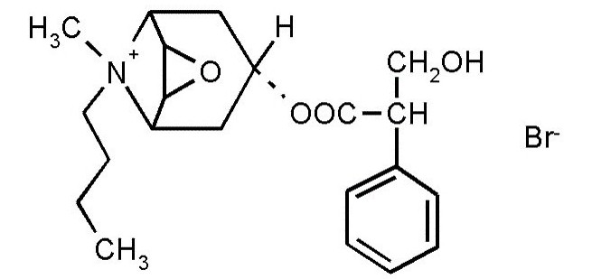 hyoscine butylbromide