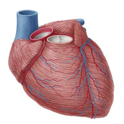 diagnóstico de doença isquêmica do coração
