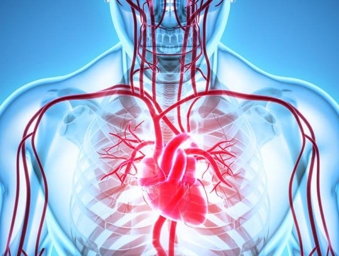 ішемічна хвороба серця діагностика лікування