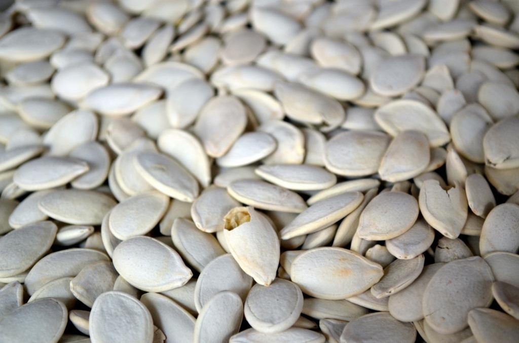 sementes torradas de abóbora benefícios e malefícios